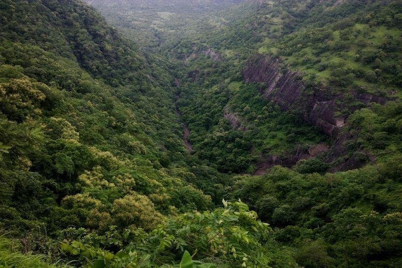 Melghat Scientific Research & Ecology