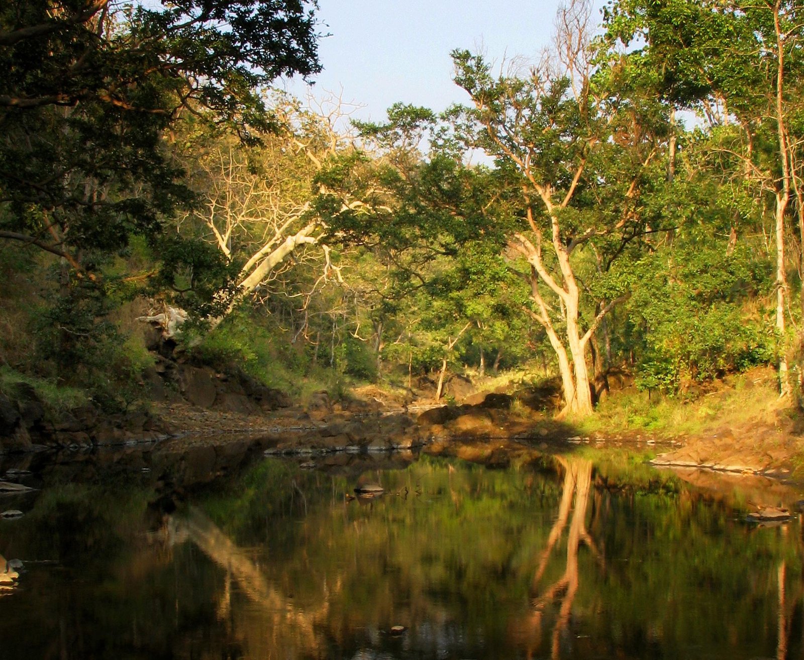 Melghat Tiger Reserve landscape