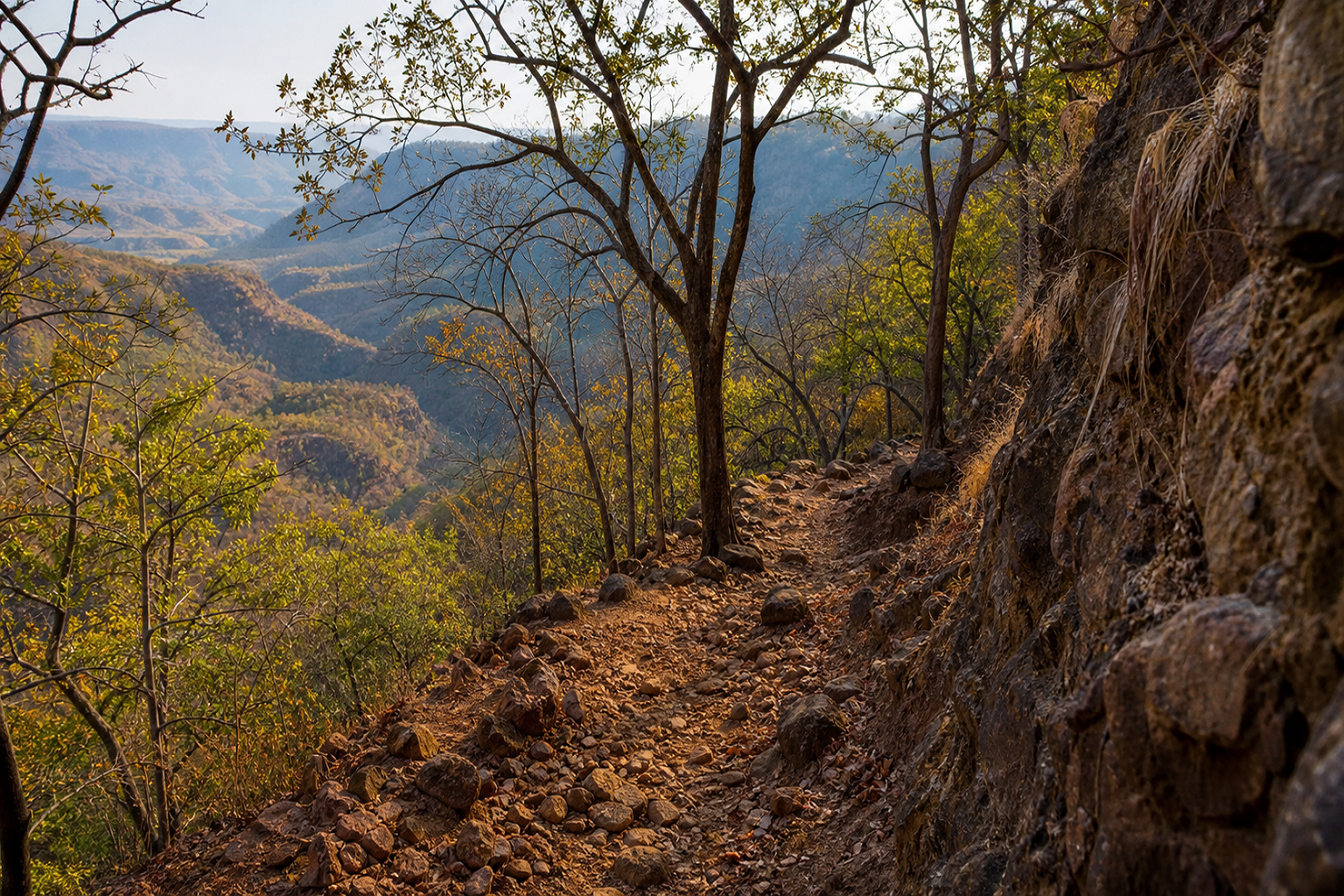 Dhakna Pristine Sanctuary