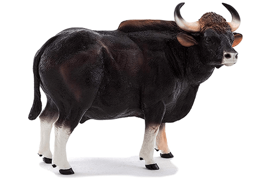 Gaur
