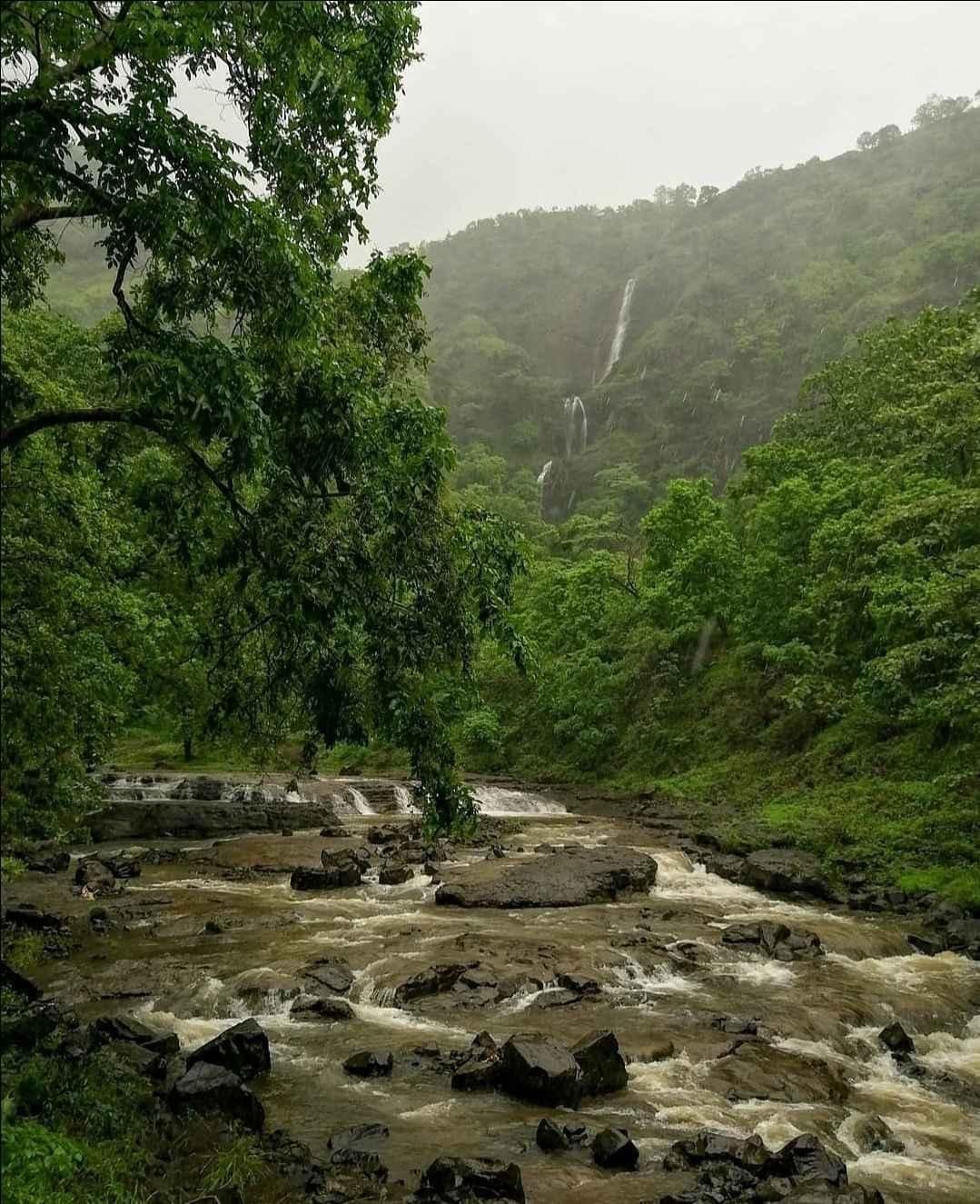 Melghat during monsoon