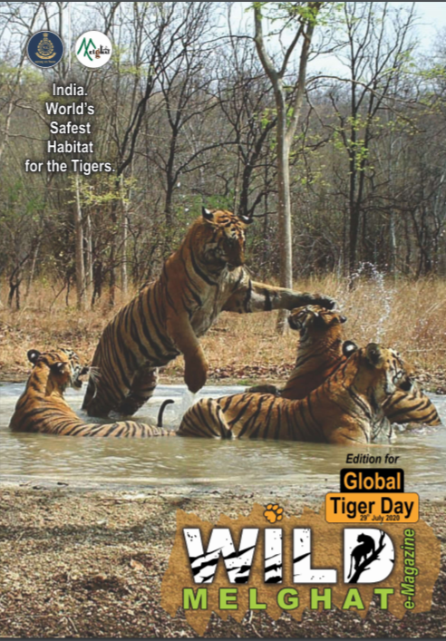 Wild Melghat E-Magazine Wildlife Week 2022